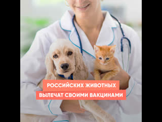 russian animals will be cured with their own vaccines